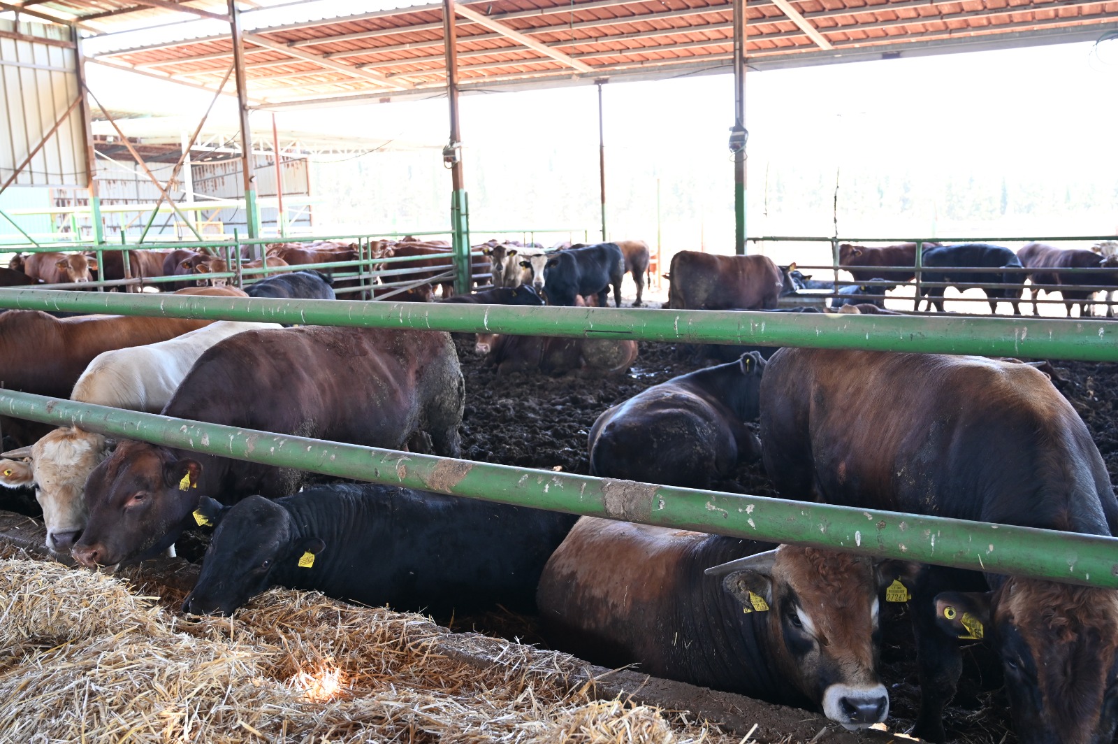 WhatsApp Image 2022-06-30 at 10.41.49 PM.jpeg